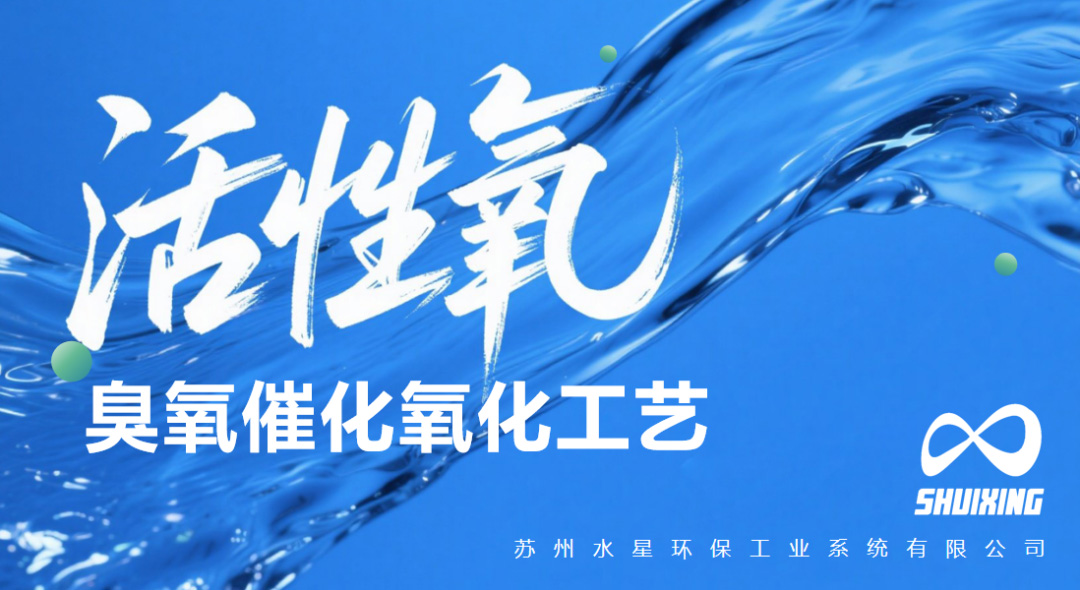 活动|博鱼体育官方网站环保双会发布两项创新环保技术