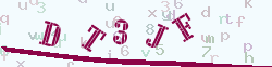 verify_code